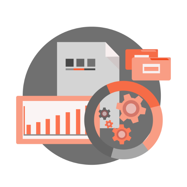 Network Configuration and Cabling and Lifecycle Audit
